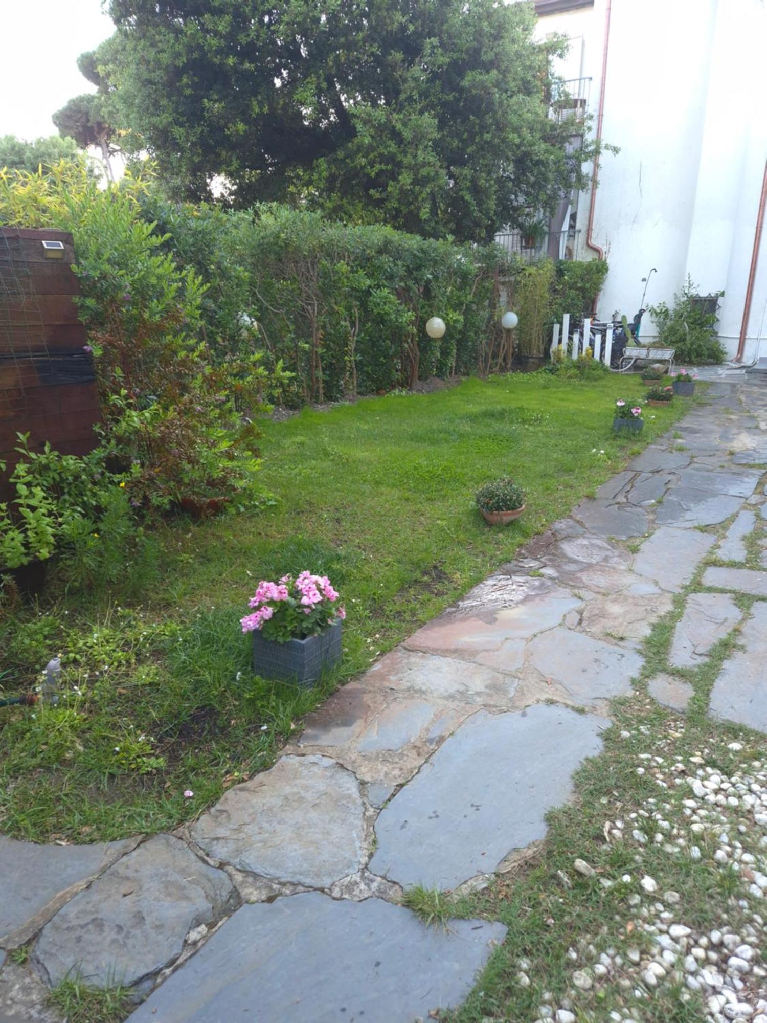 Domusauroom, Relax Nel Cuore Della Versilia - Pet Friendly Виареджо Экстерьер фото