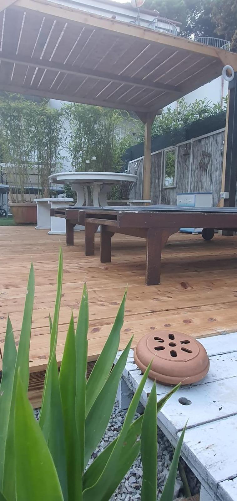 Domusauroom, Relax Nel Cuore Della Versilia - Pet Friendly Виареджо Экстерьер фото